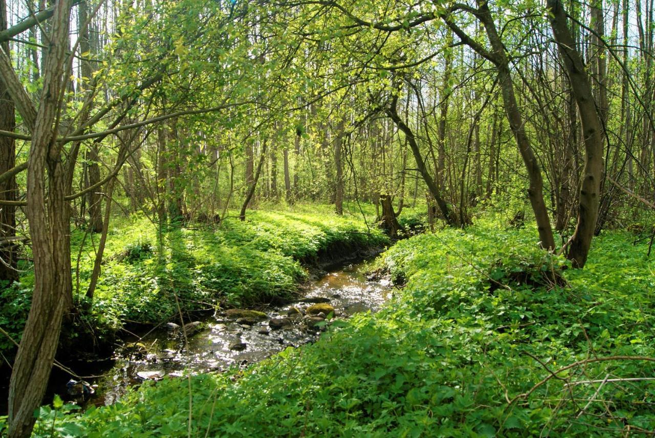 Losiowate Gospodarstwo Agroturystyczne Rybaki  Экстерьер фото